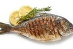 grilled-fish-on-white-background-2023-11-27-04-54-54-utc-1-1.jpg